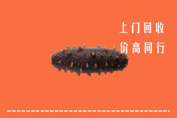 海口市琼山回收海参