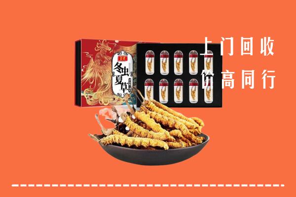 海口市琼山高价回收虫草